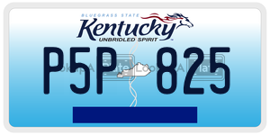P5P825  license plate in KY
