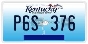 P6S376  license plate in KY