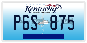 P6S875  license plate in KY