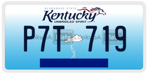 P7T719  license plate in KY