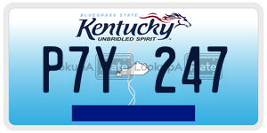 P7Y247  license plate in KY