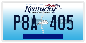 P8A405  license plate in KY