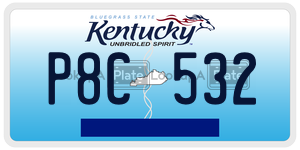 P8C532  license plate in KY