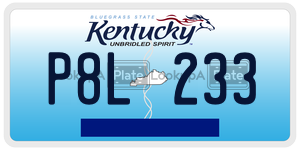 P8L233  license plate in KY