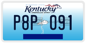 P8P091  license plate in KY
