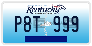 P8T999  license plate in KY