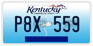 P8X559  license plate in KY