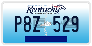 P8Z529  license plate in KY