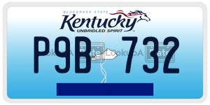 P9B732  license plate in KY