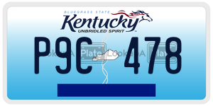 P9C478  license plate in KY