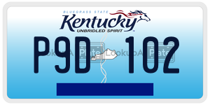 P9D102  license plate in KY