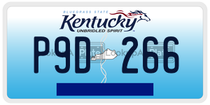 P9D266  license plate in KY