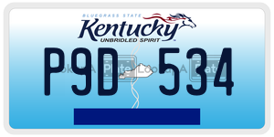 P9D534  license plate in KY