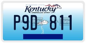 P9D811  license plate in KY