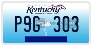 P9G303 license plate in Kentucky