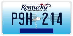 P9H214  license plate in KY