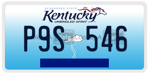 P9S546  license plate in KY