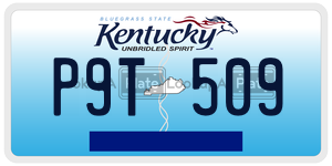 P9T509  license plate in KY