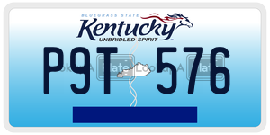 P9T576  license plate in KY
