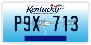 P9X713  license plate in KY
