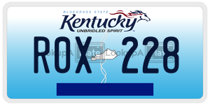 R0X228 license plate in Kentucky