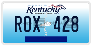 R0X428  license plate in KY