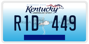 R1D449  license plate in KY