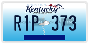 R1P373  license plate in KY