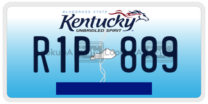 R1P889  license plate in KY