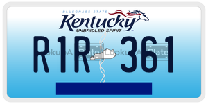 R1R361  license plate in KY