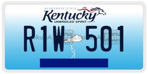 R1W501  license plate in KY