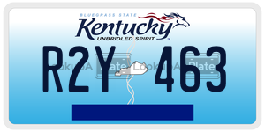 R2Y463  license plate in KY