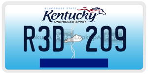 R3D209  license plate in KY