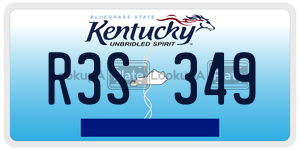 R3S349  license plate in KY