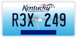 R3X249  license plate in KY