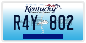 R4Y802  license plate in KY