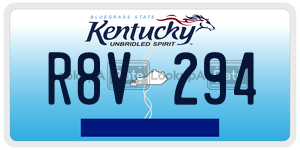 R8V294  license plate in KY