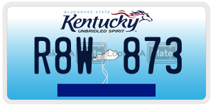 R8W873  license plate in KY