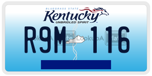 R9M116  license plate in KY