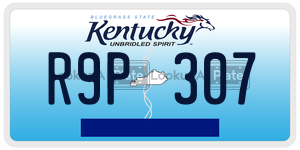 R9P307  license plate in KY