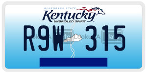 R9W315  license plate in KY