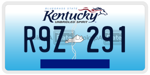 R9Z291  license plate in KY