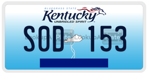 S0D153  license plate in KY