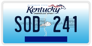 S0D241  license plate in KY