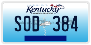 S0D384  license plate in KY