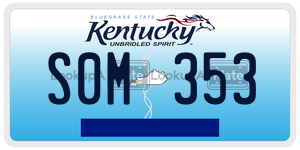 S0M353  license plate in KY
