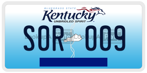 S0R009  license plate in KY