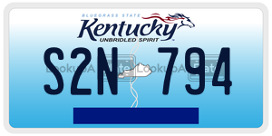 S2N794  license plate in KY