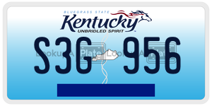 S3G956  license plate in KY