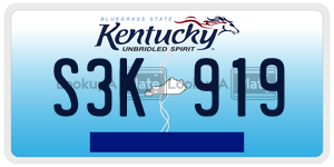 S3K919  license plate in KY